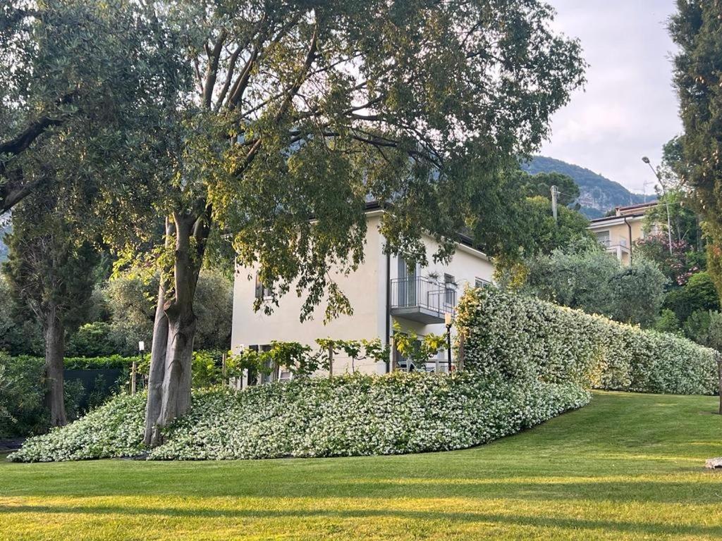 Appartamenti Villa Andrea Γκάρντα Εξωτερικό φωτογραφία