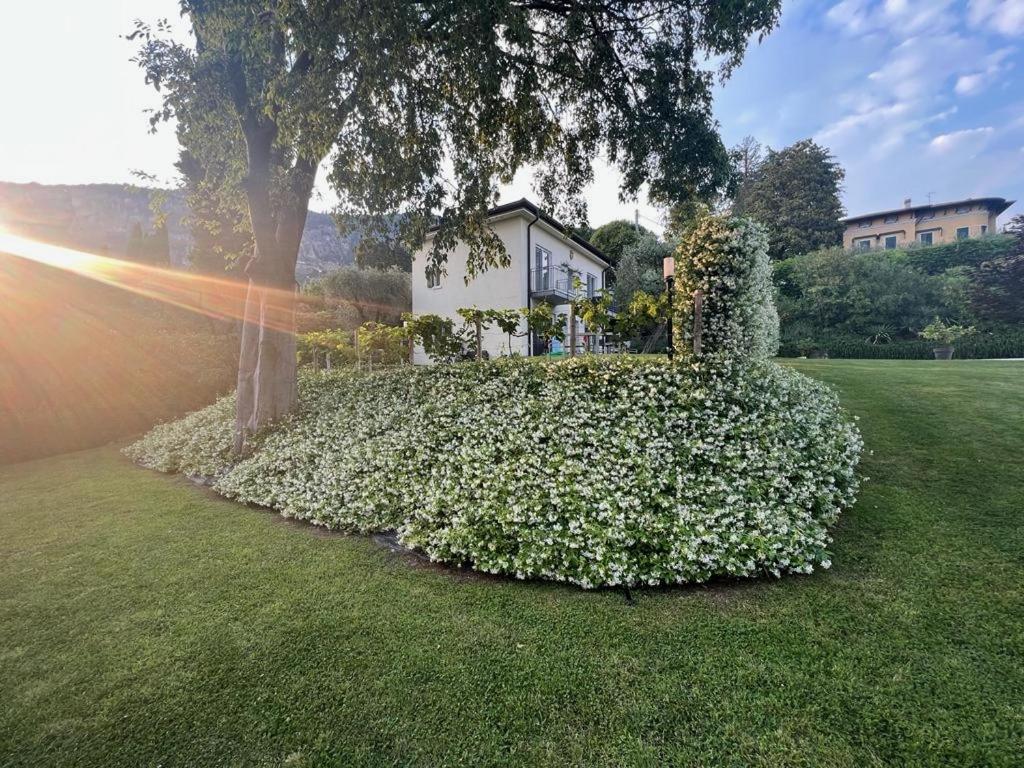 Appartamenti Villa Andrea Γκάρντα Εξωτερικό φωτογραφία