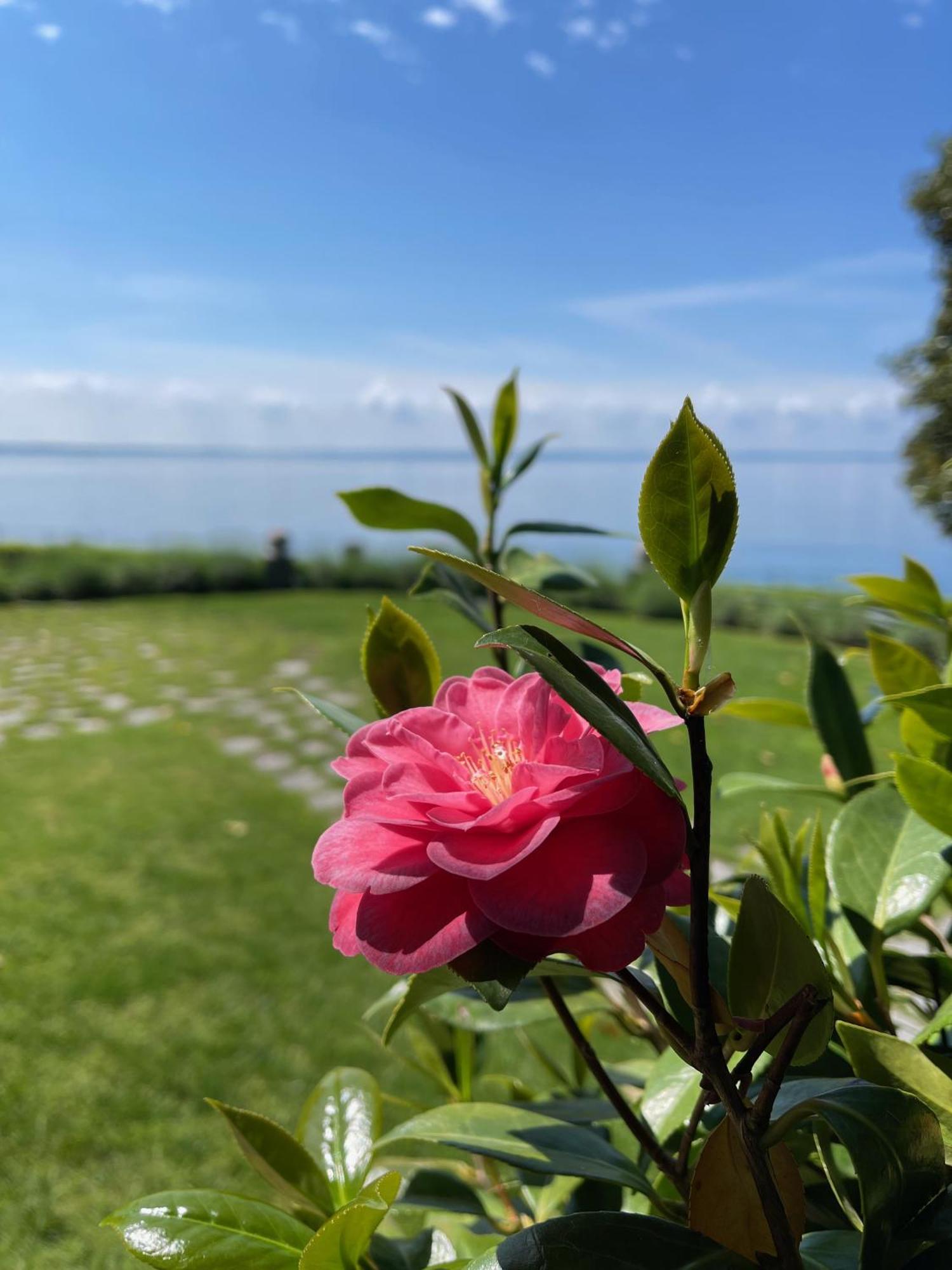 Appartamenti Villa Andrea Γκάρντα Εξωτερικό φωτογραφία