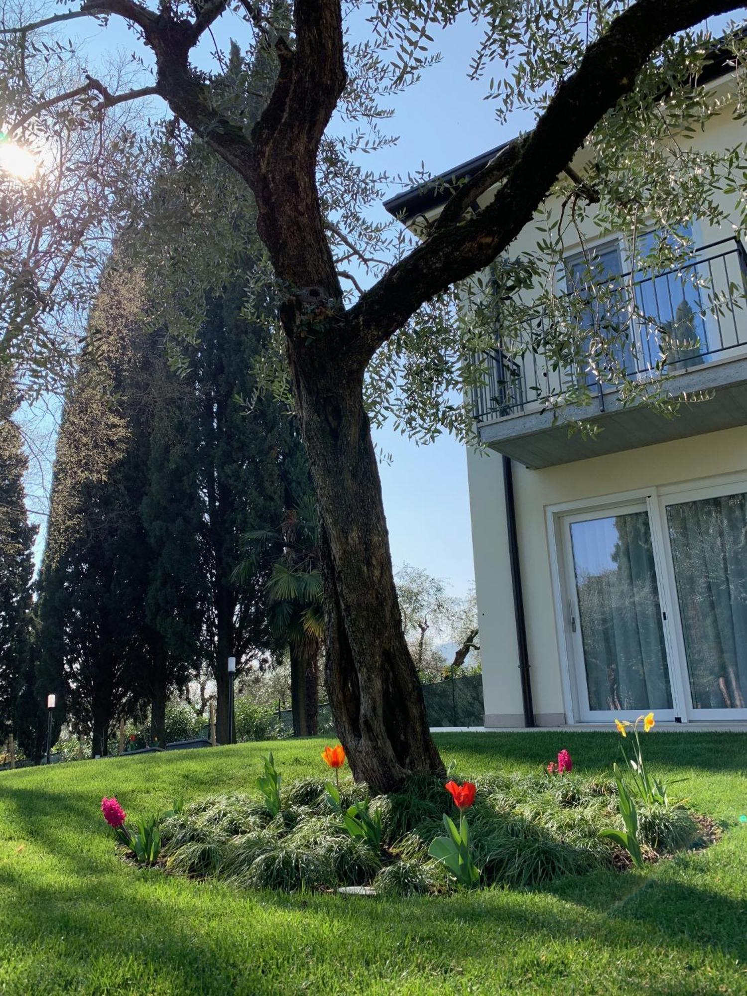 Appartamenti Villa Andrea Γκάρντα Εξωτερικό φωτογραφία