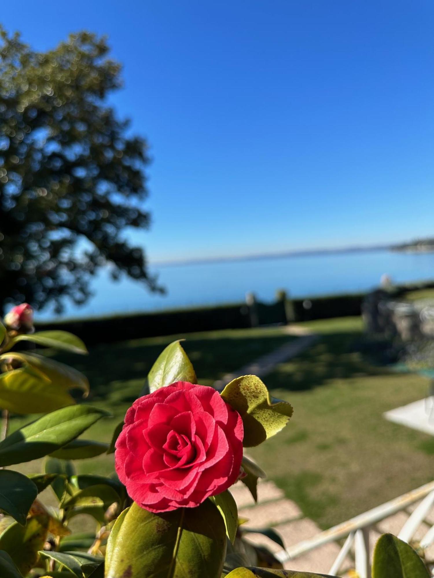 Appartamenti Villa Andrea Γκάρντα Εξωτερικό φωτογραφία