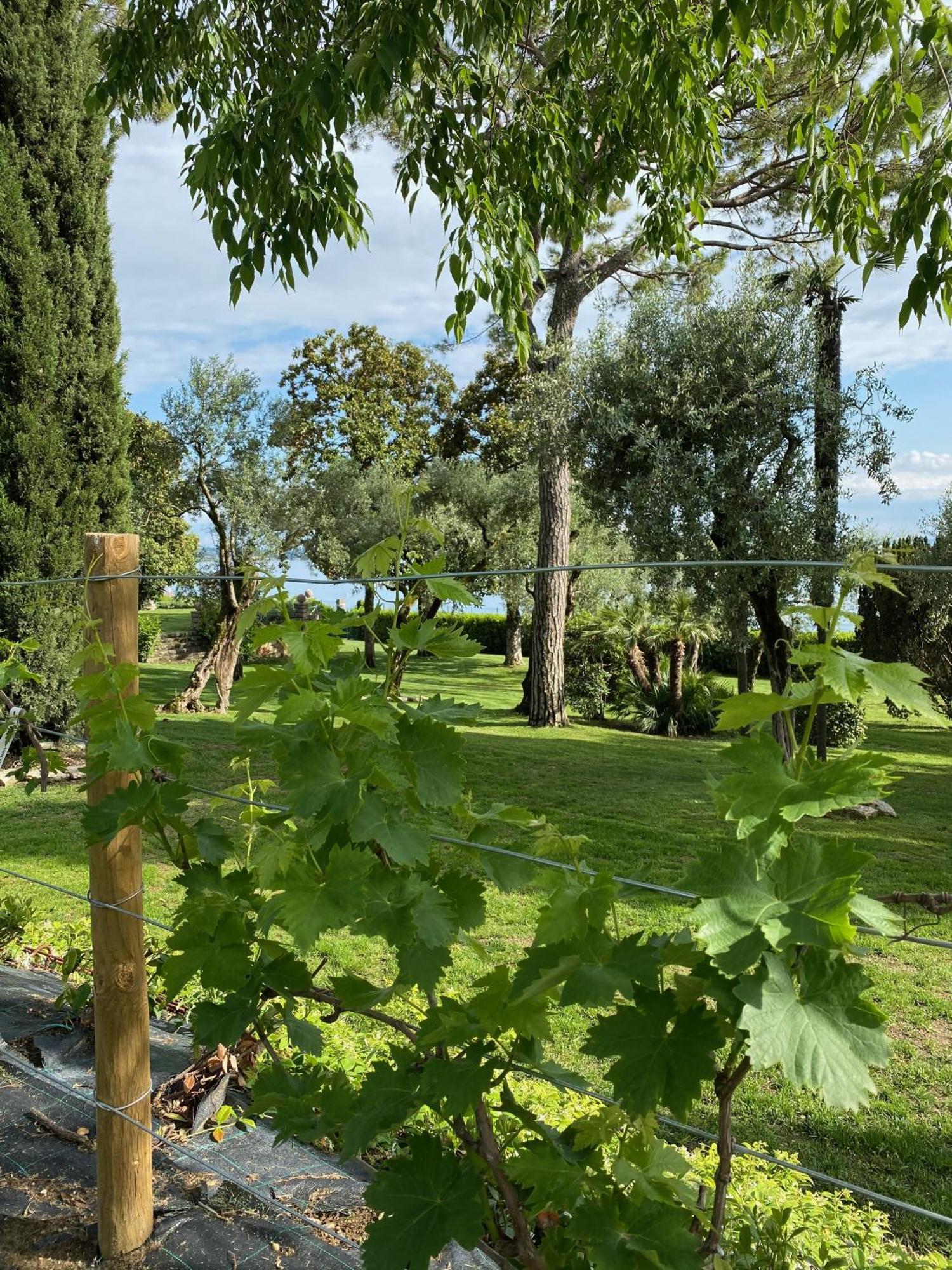 Appartamenti Villa Andrea Γκάρντα Εξωτερικό φωτογραφία